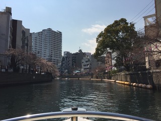 IMG_9749.jpg