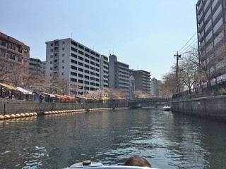 IMG_9753.jpg