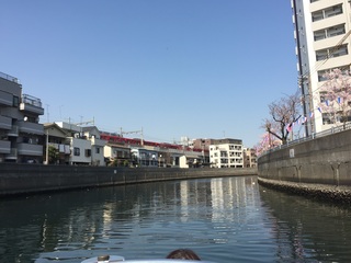 IMG_9761.jpg