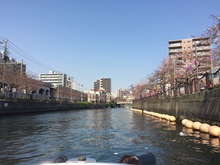 IMG_9767.jpg
