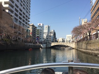 IMG_9770.jpg