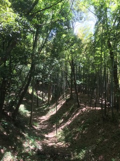 IMG_9910.jpg