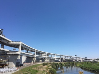 IMG_9916.jpg